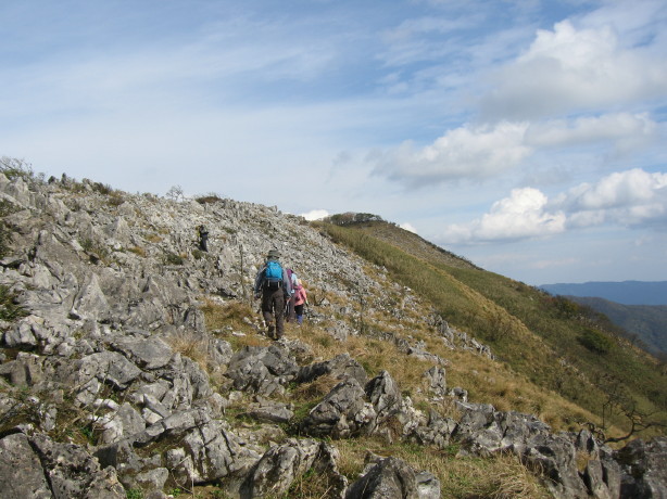 d0103314_2332348.jpg