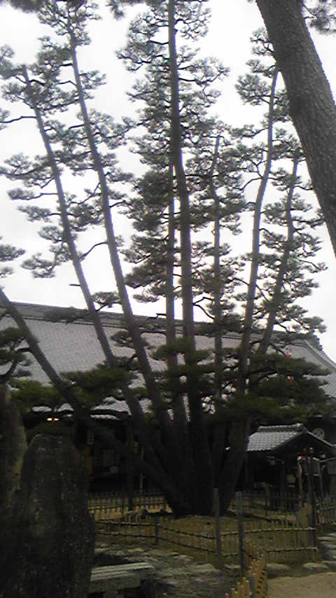 d0004717_9311114.jpg