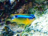 マンタのいない海もまた良し^^_a0043520_10225616.jpg