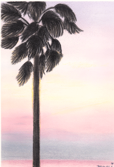 e0153521_028857.gif