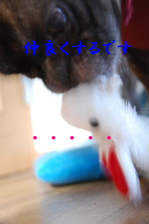 c0130324_2136455.jpg