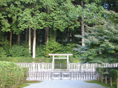 f0054428_117266.jpg