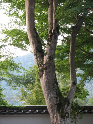 f0054428_162549.jpg