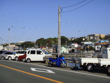 いってきたよ　【三浦半島編】_d0143135_22194426.jpg