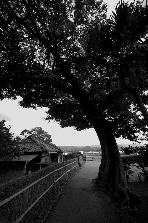 岩崎弥太郎生誕之地  高知県安芸市井ノ口_a0078341_0534592.jpg