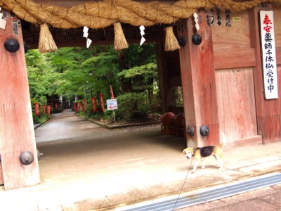 c0119142_559388.jpg