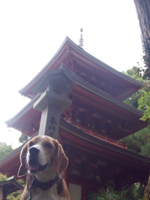 c0119142_6274555.jpg