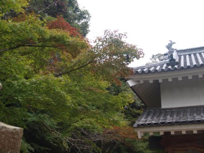c0119142_6451733.jpg