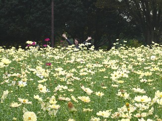 c0100848_13445669.jpg