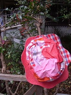 a0068350_51377.jpg