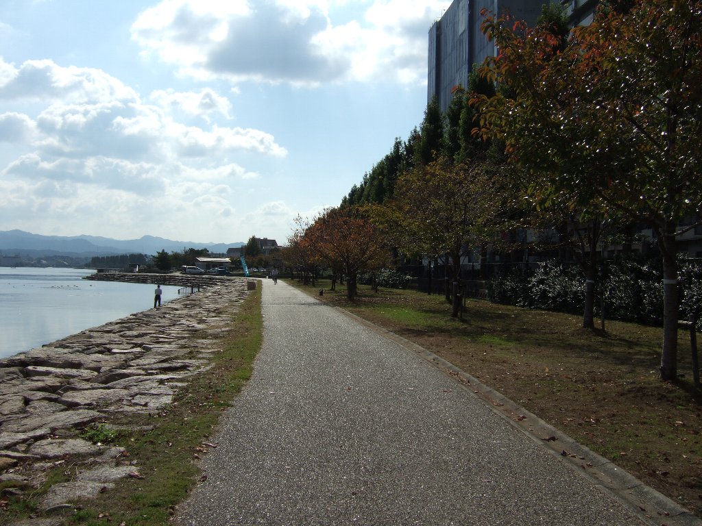 c0178561_21441298.jpg