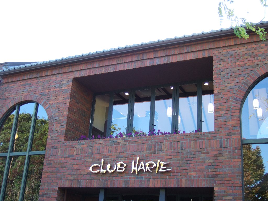 c0178561_21465474.jpg