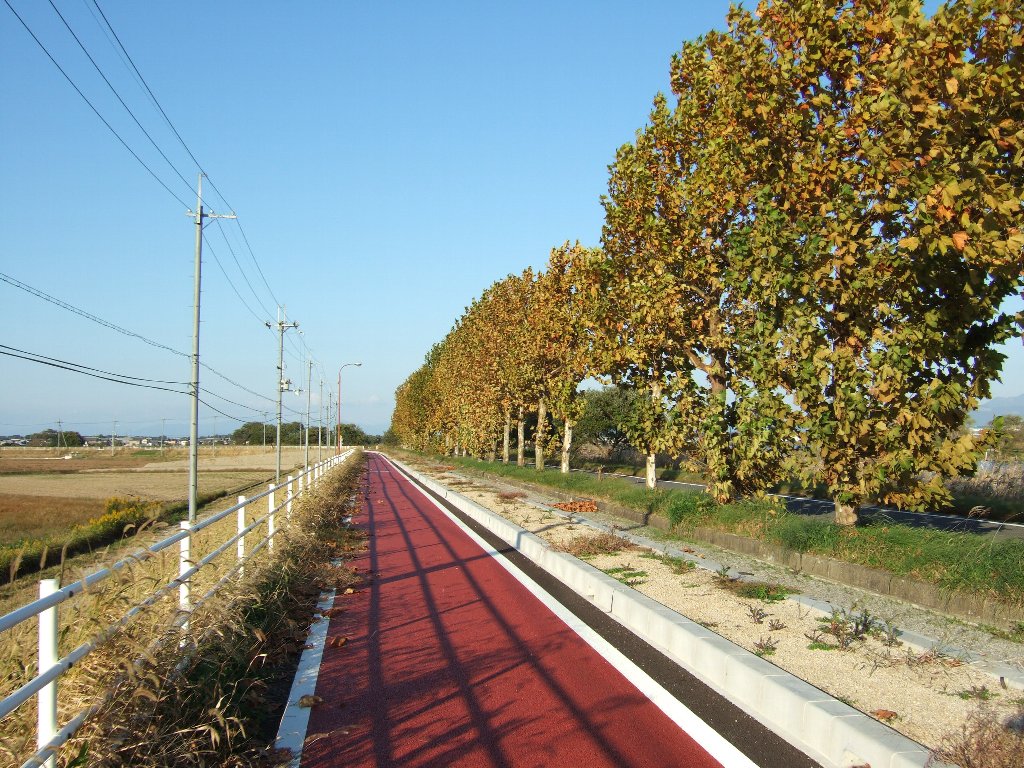 c0178561_21472866.jpg