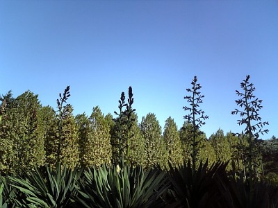 c0102268_23275398.jpg
