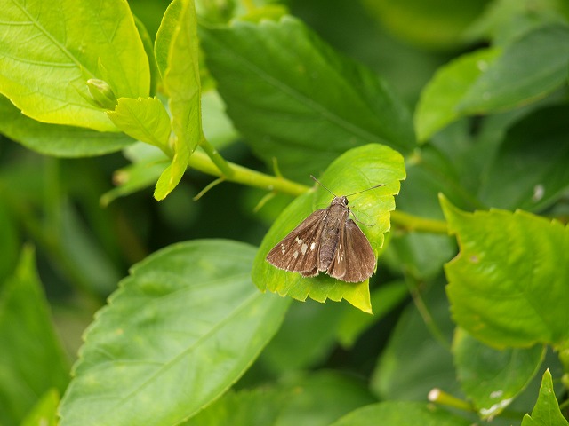 b0135573_20222342.jpg