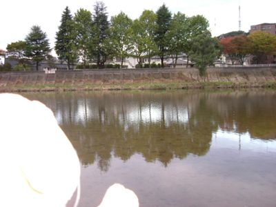 c0158573_9184676.jpg