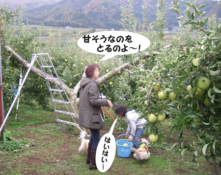 e0066883_12332541.gif