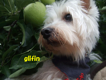 e0066883_12381855.gif