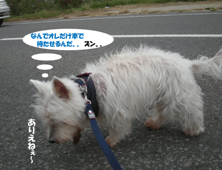 e0066883_12383480.gif