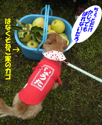 e0066883_12511391.gif