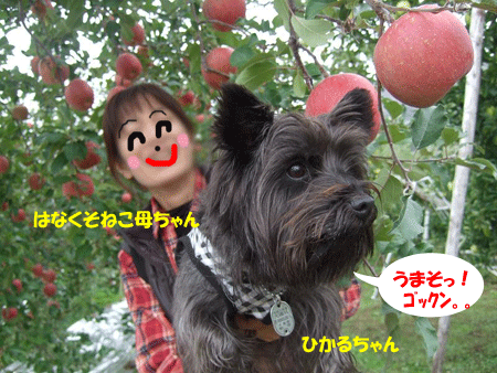 e0066883_1315014.gif