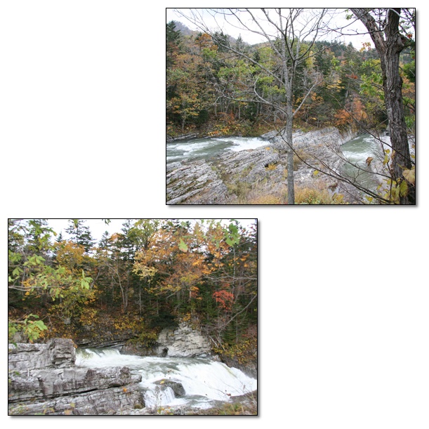 f0146493_2247281.jpg
