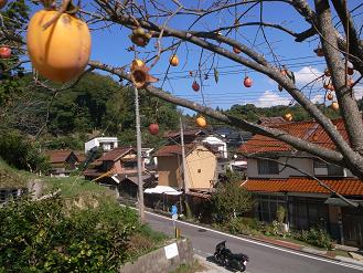 ベ小連・島根特派員報告第2弾_d0087595_19581482.jpg