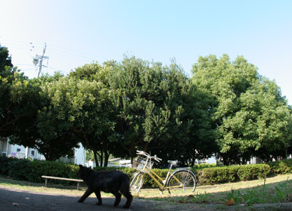 d0071596_10453288.jpg
