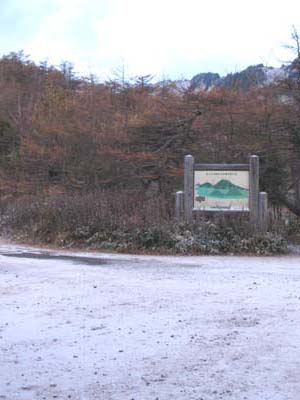 e0120896_7525940.jpg