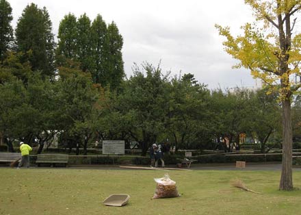 10月28日_c0013698_18205892.jpg