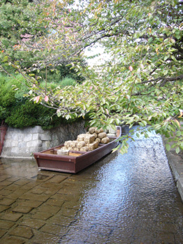 f0191500_11381092.jpg