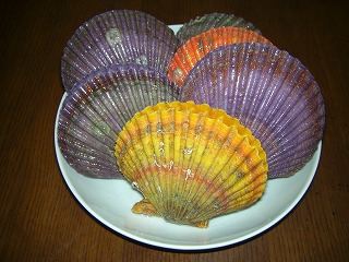 c0125501_8133124.jpg