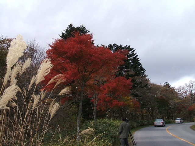 e0084001_22473437.jpg
