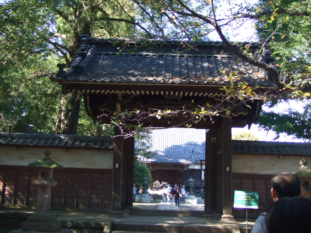 東急沿線エコウォーク――二子玉川~用賀_e0123104_7573345.jpg