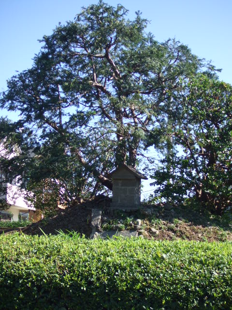 東急沿線エコウォーク――二子玉川~用賀_e0123104_7594517.jpg