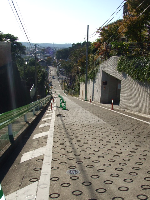 東急沿線エコウォーク――二子玉川~用賀_e0123104_811450.jpg