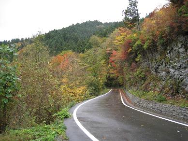 a0046305_9165446.jpg