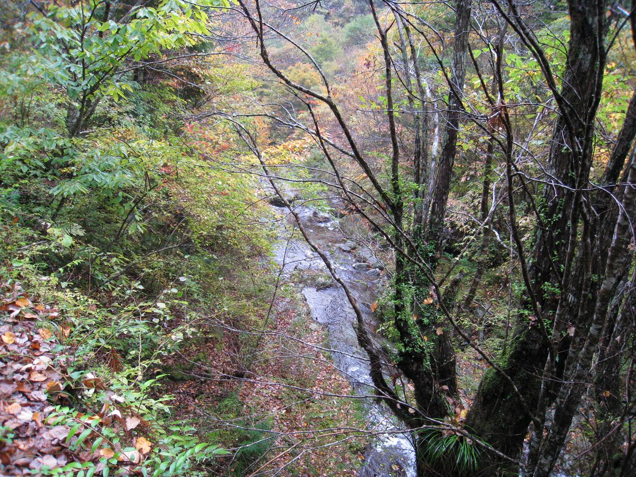 a0046305_9183925.jpg