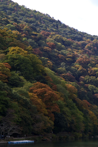 嵐山・天龍寺　その1_c0077605_0525924.jpg