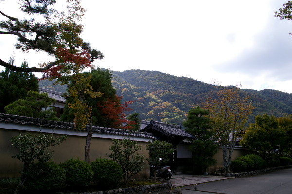 嵐山・天龍寺　その1_c0077605_0541091.jpg