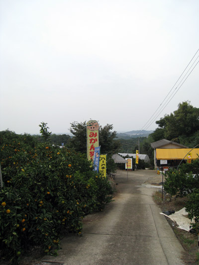 a0097006_2055989.jpg