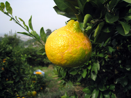 a0097006_2091483.jpg