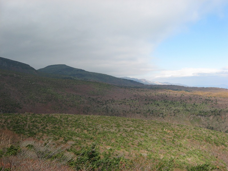 d0011406_19313129.jpg