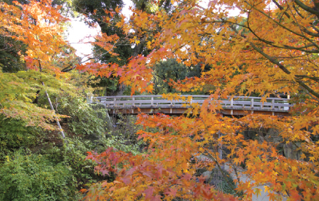 c0152507_7564894.jpg
