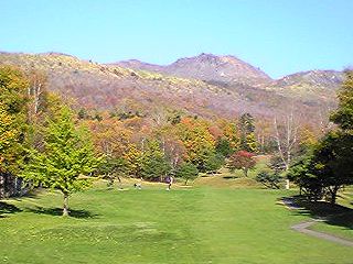 d0050007_1673838.jpg