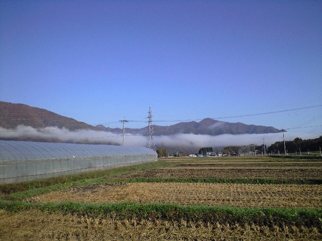 晴れ_d0099708_1362549.jpg