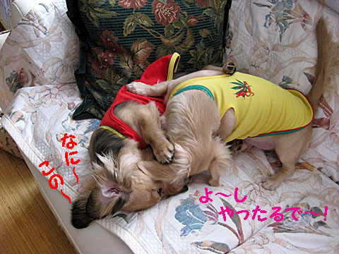 c0108112_10443591.jpg