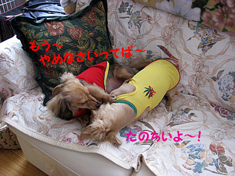 c0108112_10454440.jpg