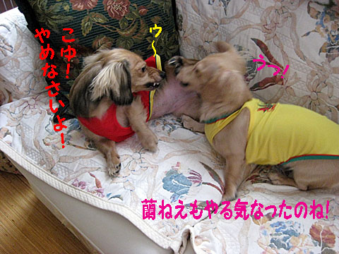 c0108112_1045746.jpg