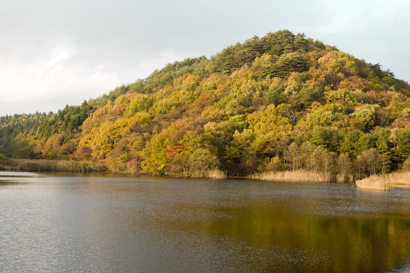 d0146912_2141627.jpg